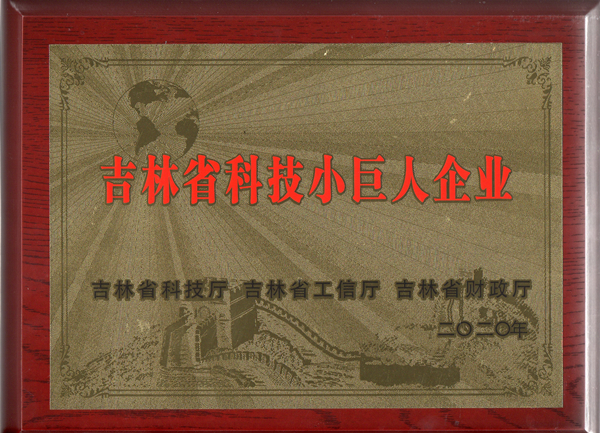0XPJ官网物业获“吉林省科技幼巨人企业”称号_副本.jpg