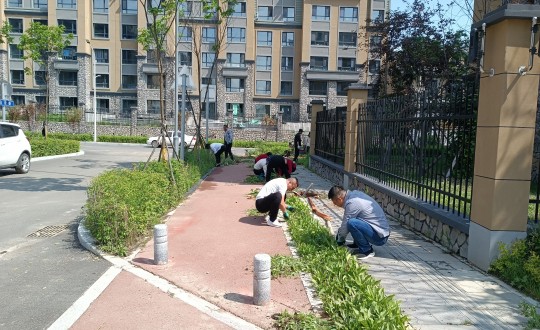 8.长白山运营公司江山府项目组进行市政路路拓荒工作_副本.jpg