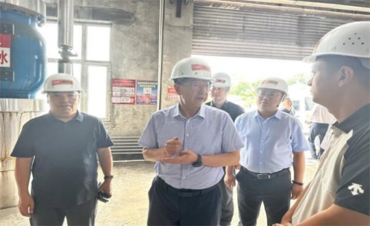 14.伊通满族自治县县委书记孙立阳一行辅导莅临XPJ官网供热总公司伊通供热分公司第二热源厂发展调研（不够清澈，助忙调整）_副本.jpg